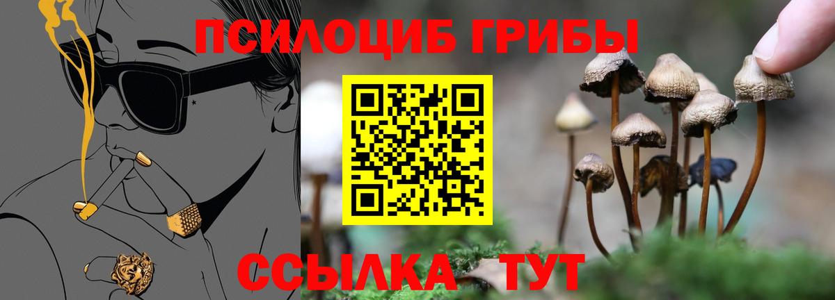 Псилоцибиновые грибы GOLDEN TEACHER Магнитогорск